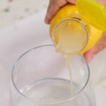 2-in-1 Citrus Twist Juicer – Manual Lemon & Orange Press